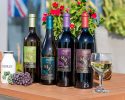 august-2016-boma-pac-fundraiser-a-taste-at-the-top-wine-tasting-event