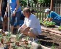 irem-helping-hands-event-at-canyon-acres-client-eddie-edmiston-planting-the-garden